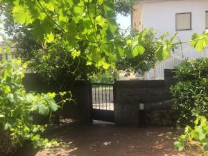 Vonkajšia záhrada v ubytovaní vivienda vieja cepa