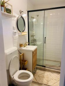 une salle de bain avec toilettes, lavabo et douche dans l'établissement Slow Living Cottage, Dobolii de Sus, à Dobolii de Sus