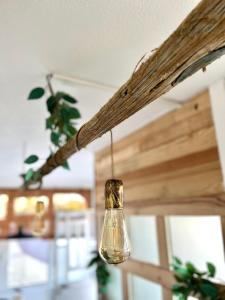 a glass bulb hanging from a branch in a living room at Fisherman´s Cave in Faro