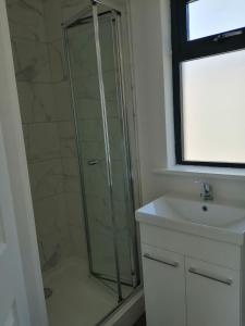 a bathroom with a shower and a sink at Mews self catering in Kilpedder