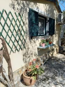 a house with potted plants and a window at Casa Natasa in Oziás +5 photos