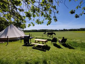uma tenda e uma mesa de piquenique e um cavalo num campo em Under Canvas Bornholm em Østermarie