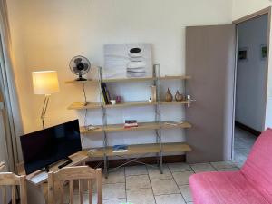 een woonkamer met een tv op een plank bij La Résidence - n° 08 - T2 classé** in Gréoux-les-Bains