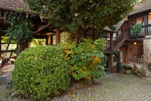 Zahrada ubytování La Cour de Lise Maison D'Hôtes et SPA