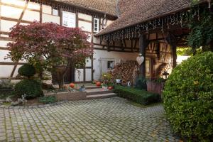 Zahrada ubytování La Cour de Lise Maison D'Hôtes et SPA