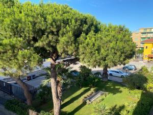 een uitzicht over een boom op een parkeerplaats bij Casa Enza: appartamento a un passo dal mare. in Bordighera