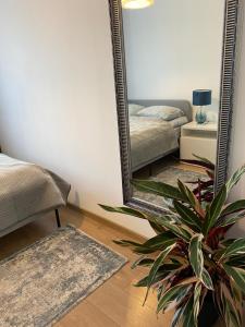 um espelho num quarto com uma cama e uma planta em Apartament w ZIELONEJ OKOLICY z TARASEM em Kielce
