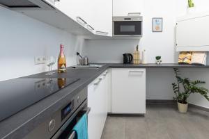 Kuchnia lub aneks kuchenny w obiekcie Yeshello Vienna Central Station Apartment