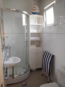 a bathroom with a shower and a sink at Apartment Bella Vista in Belgrade