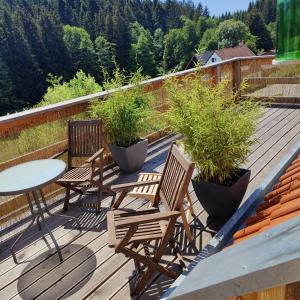 una terraza con 2 sillas, una mesa y algunas plantas en Ferienloft im Grünen, en Gschwend