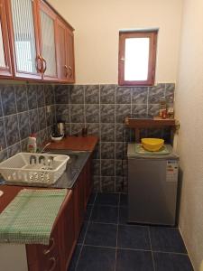 una pequeña cocina con fregadero y lavavajillas en Apartments & Rooms Vitko, en Žabljak