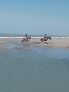 two people riding horses on the beach near the water at Location bord plage in Soulac-sur-Mer
