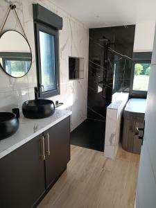 a bathroom with a sink and a shower at Préstige in Rouilly-Sacey