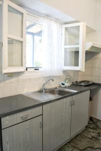 eine Küche mit einem Waschbecken und zwei Fenstern in der Unterkunft Fabrika's Breeze in Vári