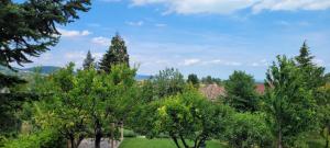 Príroda v okolí apartmánu