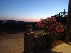 a plant in a pot on a wall with flowers at Theros house in Kythira