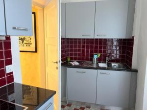 Kuchyň nebo kuchyňský kout v ubytování Ascona: Nostrana Apt. 1