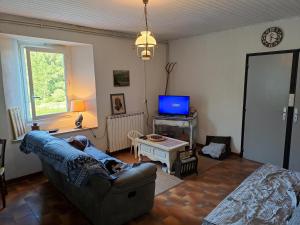 a living room with a couch and a tv at Les Reflets du Tarn in Ambialet