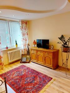 a living room with a flat screen tv and a rug at Apartament Retro Promenada in Ełk