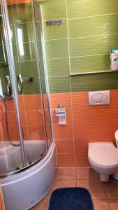 a bathroom with a shower and a toilet at Pokoje u Eli in Szczawnica +27 photos