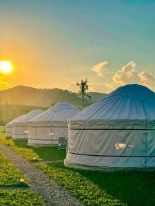 Gallery image of Glamping Iurte Mongole Spiritul Zimbrului in Vama Buzăului