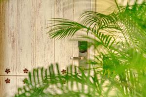 une porte en bois avec un bouton et une plante dans l'établissement Hotel Casa Canabal by Faranda Boutique, à Carthagène des Indes