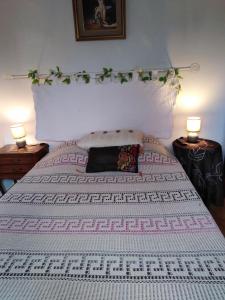 una camera con un grande letto con due lampade sui tavoli di LA GRAND'VIGNE a Chauzon