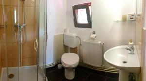 a bathroom with a toilet and a sink and a shower at Casa langa rau in Bran +19 photos