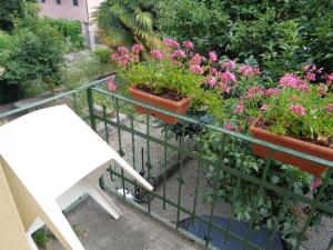 Giardino di Piccolo Lago