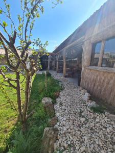 un chemin en pierre à côté d'un bâtiment avec un arbre dans l'établissement SupVamaVeche, à Vama Veche