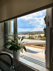 Táj az apartman közelében