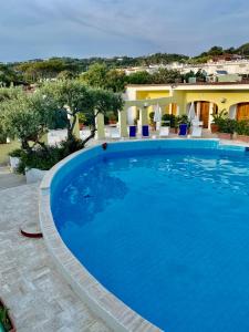 Fotografia z galérie ubytovania Summer Vibes B&B v destinácii Ischia