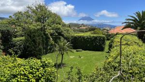 a garden with green grass and trees and bushes at Casa da Japoneira in Horta +10 photos