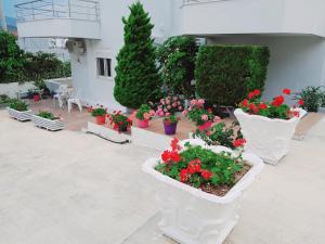 a group of flowers in white pots on a balcony at GB Rooms in Ksamil