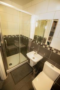 uma casa de banho com um WC, um chuveiro e um lavatório. em Comfotel BLU em Londres