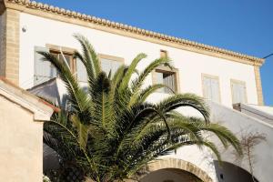 a palm tree in front of a white building at Vranadika in Livadi