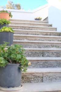 a set of stairs with potted plants on them at Vranadika in Livadi