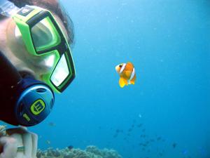 una persona que toma una foto de un pez en el agua en Blue Star Dive and Resort en Anda