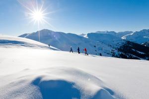 Holzboxen Planneralm að vetri til