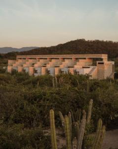 a building in the middle of a field with cactus at Terrestre, a Member of Design Hotels in Puerto Escondido