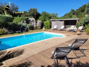 Swimmingpoolen hos eller tæt på Villa 125m2 6/8 pers Trinité de Porto Vecchio Piscine