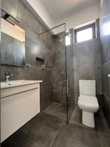 a bathroom with a toilet and a shower and a sink at Hotel Juza in Borsh +32 photos