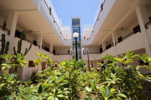 The building in which Az apartmant is located