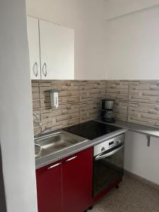 Η κουζίνα ή μικρή κουζίνα στο Vila cu trandafiri Cozy Apartments 2 camere
