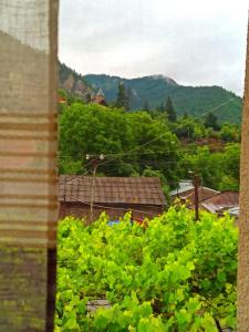 a view of a village from a window at Guest house DAVID in Borjomi