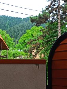a view of the mountains from the roof of a house at Guest house DAVID in Borjomi