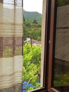 a window with a view of a green plant at Guest house DAVID in Borjomi