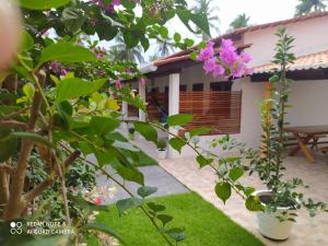 Gallery image of Casa Grande in Camocim