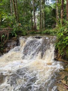 Foto da galeria de Pousada Paraíso do Calango Azul em Presidente Figueiredo