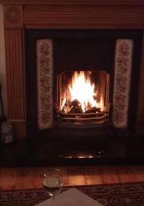 a fire in a fireplace with a glass of wine at Butler's Cottage, Letterkenny in Letterkenny